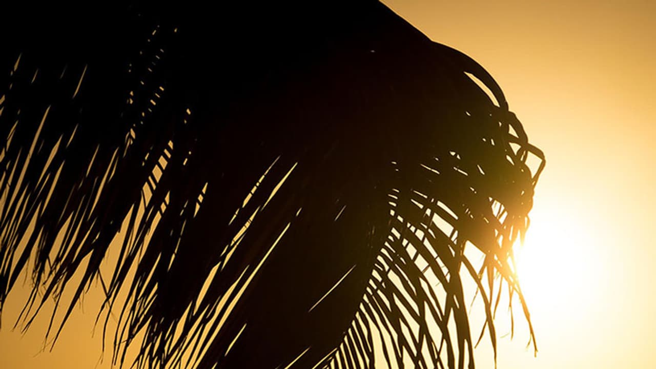 മാര്ച്ച് മാസത്തിലെ ചൂട്; നാസയുടെ വെളിപ്പെടുത്തല് മാര്ച്ച് മാസത്തിലെ ചൂട്; നാസയുടെ വെളിപ്പെടുത്തല്