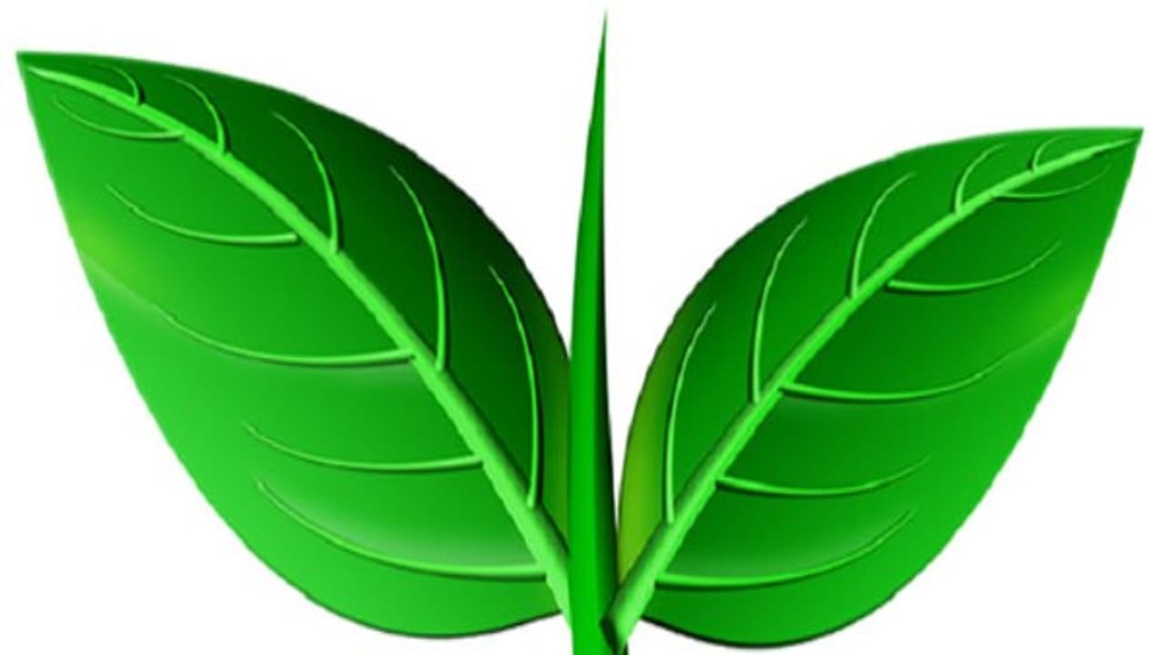 இரட்டை இலை சின்னம் விவகாரம்; டெல்லி புறப்பட்ட ஓ.பி.எஸ்., இ.பி.எஸ். இரட்டை இலை சின்னம் விவகாரம்; டெல்லி புறப்பட்ட ஓ.பி.எஸ்., இ.பி.எஸ்.