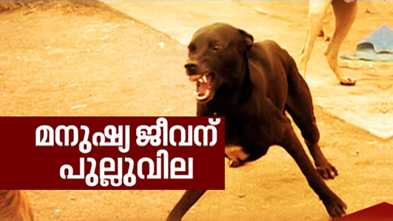 ചിറ്റിലപ്പള്ളിയും ജോസ് മാവേലിയും അനാവശ്യപ്രശ്‌നം ഉണ്ടാക്കുന്നുവെന്ന് മൃഗസംരക്ഷണ ബോര്‍ഡ്