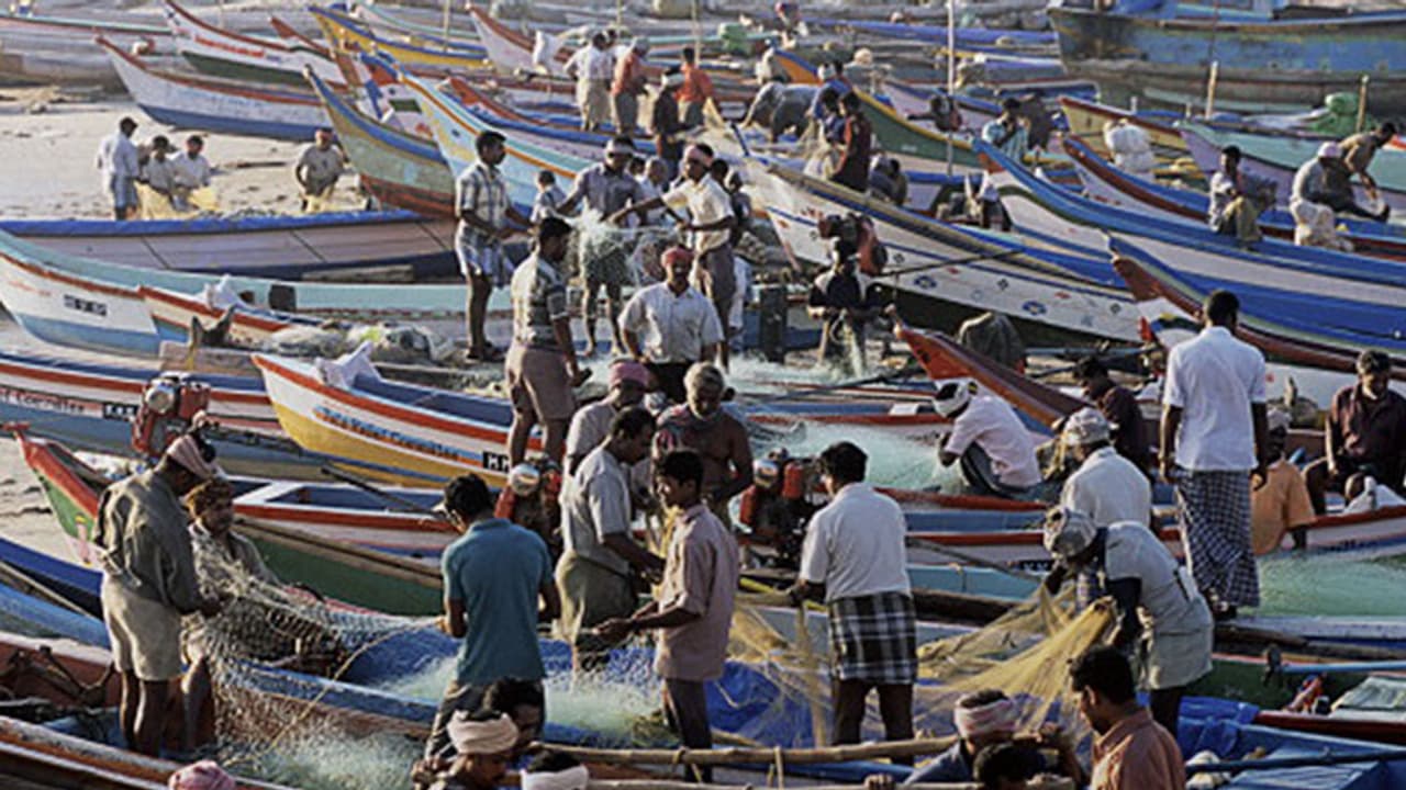 8 more fishermen arrested, Palanisami urges PM to take decisive action 8 more fishermen arrested, Palanisami urges PM to take decisive action