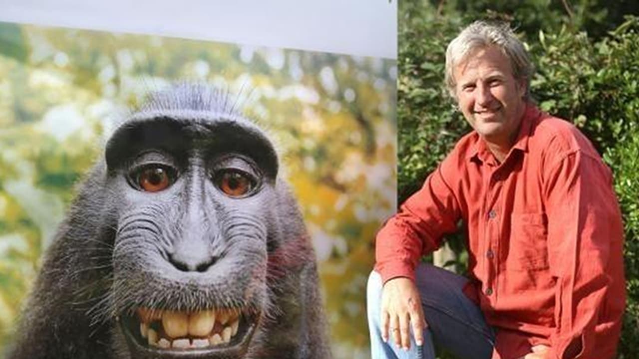 ಮಂಗನ ಸೆಲ್ಫಿ ಹಕ್ಕು ಯಾರಿಗೆ? ಕೊನೆಗೂ ವಿವಾದ ಸುಖಾಂತ್ಯ! ಮಂಗನ ಸೆಲ್ಫಿ ಹಕ್ಕು ಯಾರಿಗೆ? ಕೊನೆಗೂ ವಿವಾದ ಸುಖಾಂತ್ಯ!