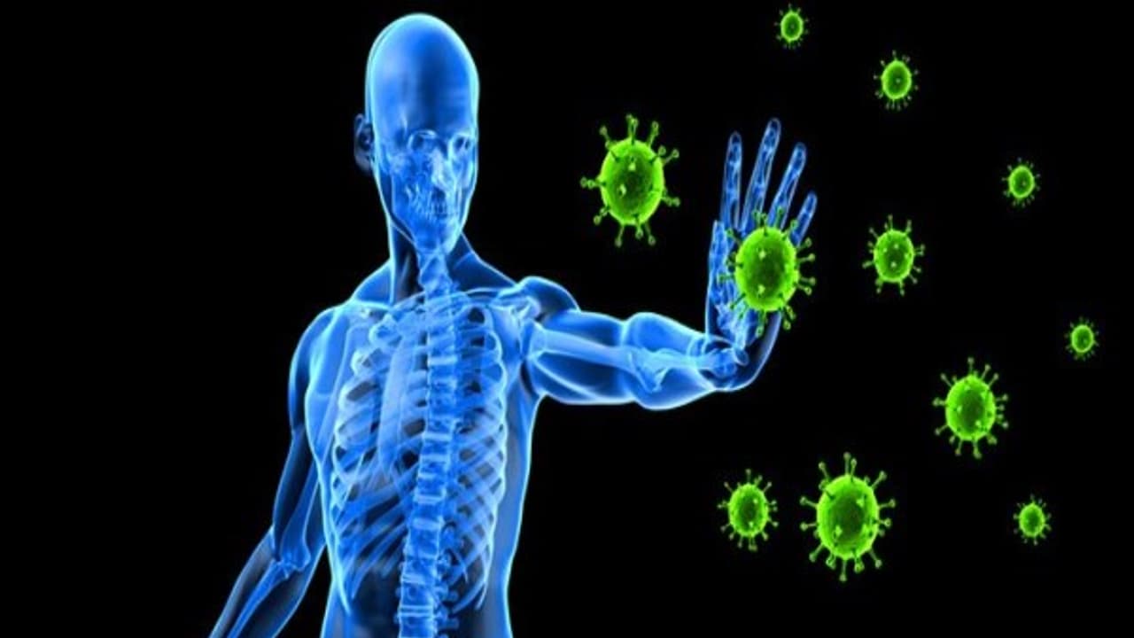 உங்களுக்குத் தெரியுமா? நோயெதிர்ப்பு மண்டலத்தை வலிமையுடன் வைத்துக் கொள்ள இந்த லேகியம் உதவும்... உங்களுக்குத் தெரியுமா? நோயெதிர்ப்பு மண்டலத்தை வலிமையுடன் வைத்துக் கொள்ள இந்த லேகியம் உதவும்...