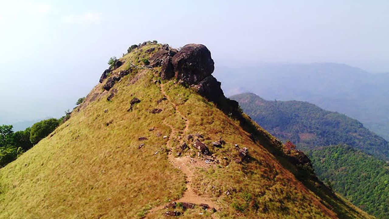 റാണിപുരത്തും വിനോദ സഞ്ചാരത്തിന് നിരോധനം റാണിപുരത്തും വിനോദ സഞ്ചാരത്തിന് നിരോധനം