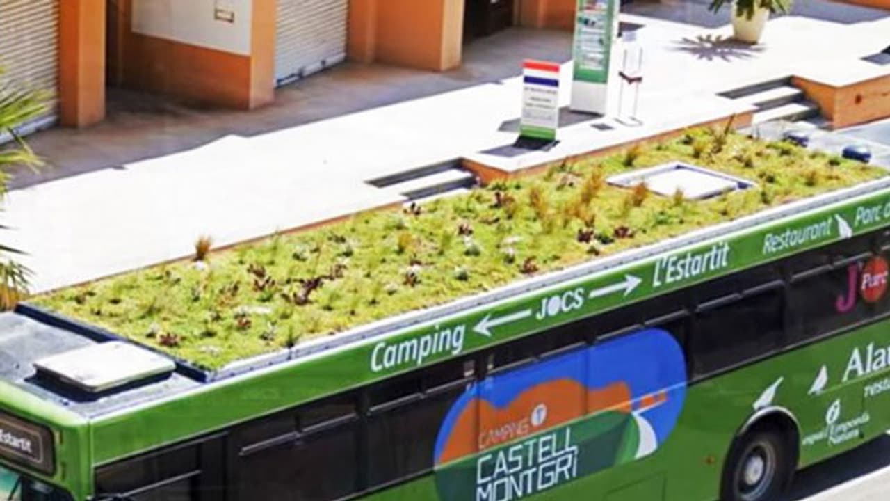 അന്തരീക്ഷ മലിനീകരണം കുറയ്ക്കാന് ബസുകള്ക്കു മുകളില് പൂന്തോട്ടം! അന്തരീക്ഷ മലിനീകരണം കുറയ്ക്കാന് ബസുകള്ക്കു മുകളില് പൂന്തോട്ടം!