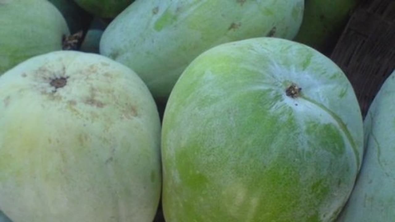 ஆண்களை பாதிக்கும் முக்கியமான இந்த மூன்று நோய்களையும் குணமாக்கும் சக்தி ஒரே ஒரு காய்க்குதான் உண்டு... ஆண்களை பாதிக்கும் முக்கியமான இந்த மூன்று நோய்களையும் குணமாக்கும் சக்தி ஒரே ஒரு காய்க்குதான் உண்டு...