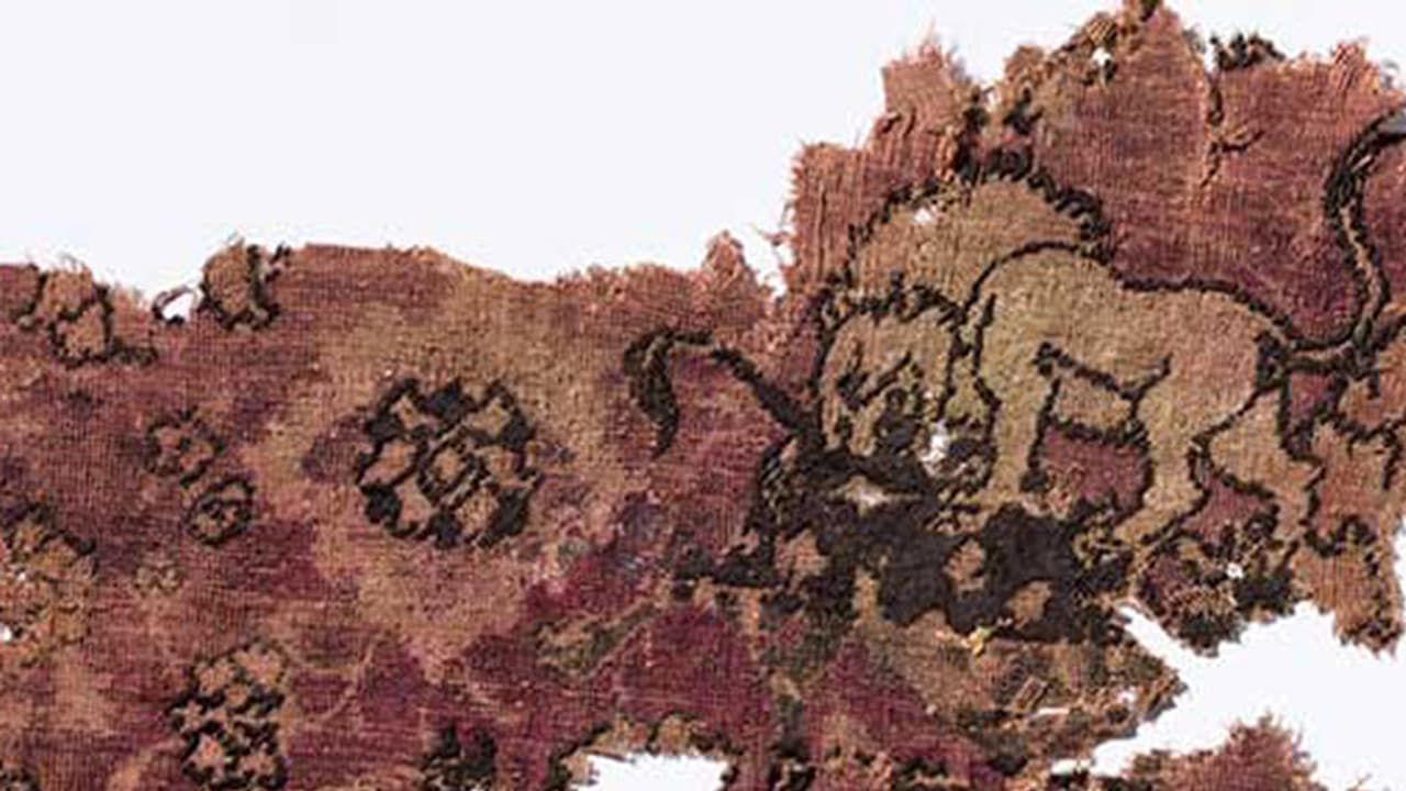 17ನೇ ಶತಮಾನದ ಭಾರತದ ಕಾರ್ಪೆಟ್ ಡಚ್ ಹಡಗಿನಲ್ಲಿ ಪತ್ತೆ 17ನೇ ಶತಮಾನದ ಭಾರತದ ಕಾರ್ಪೆಟ್ ಡಚ್ ಹಡಗಿನಲ್ಲಿ ಪತ್ತೆ