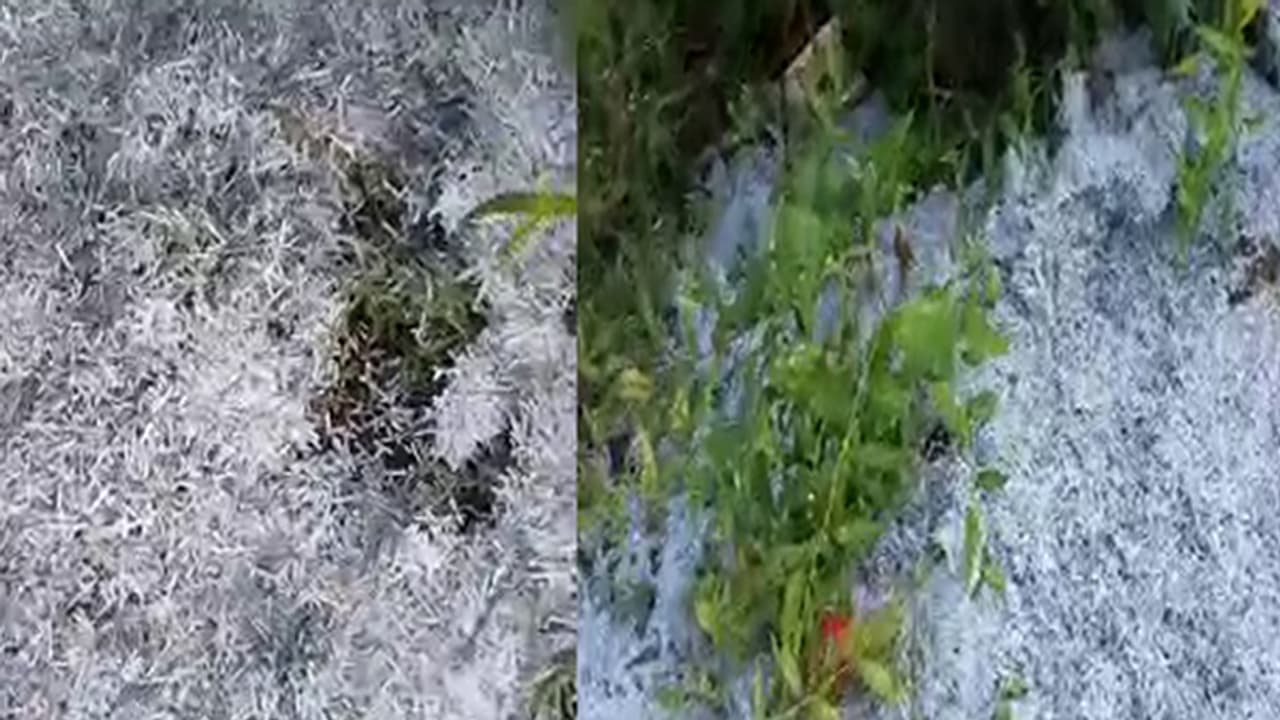 ಮಂಡ್ಯದಲ್ಲಿ ಪುಡಿ ಮಾಡಿದ ನೋಟಿನ ರಾಶಿ ಪತ್ತೆ : ಕಪ್ಪು ಹಣ ಶಂಕೆ ಮಂಡ್ಯದಲ್ಲಿ ಪುಡಿ ಮಾಡಿದ ನೋಟಿನ ರಾಶಿ ಪತ್ತೆ : ಕಪ್ಪು ಹಣ ಶಂಕೆ