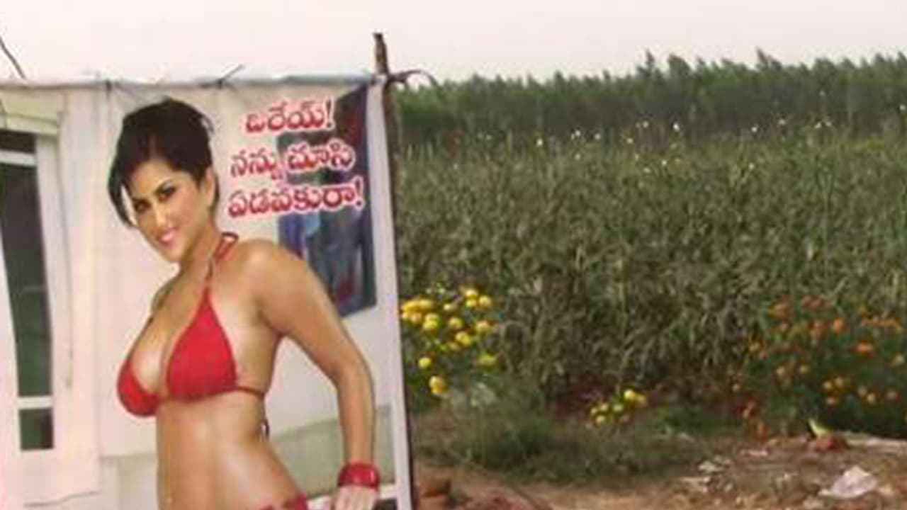 ಸನ್ನಿ ಲಿಯೋನ್ ಕೃಪೆಯಿಂದ ಬಂಪರ್ ಬೆಳೆ ಬೆಳೆದ ರೈತ ಸನ್ನಿ ಲಿಯೋನ್ ಕೃಪೆಯಿಂದ ಬಂಪರ್ ಬೆಳೆ ಬೆಳೆದ ರೈತ