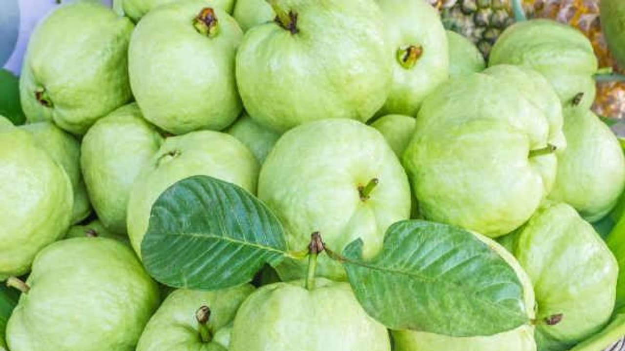 மலிவாகக் கிடைக்கும் கொய்யாப்பழத்தில் இவ்வளவு சத்துகள் குவிந்திருக்கின்றன...