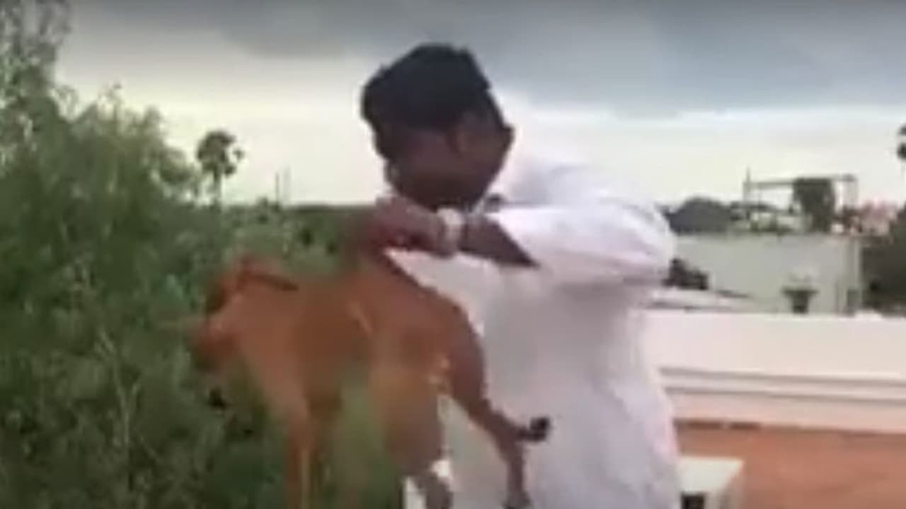 Madras HC notice to govt for cancelling bail to MBBS students Madras HC notice to govt for cancelling bail to MBBS students