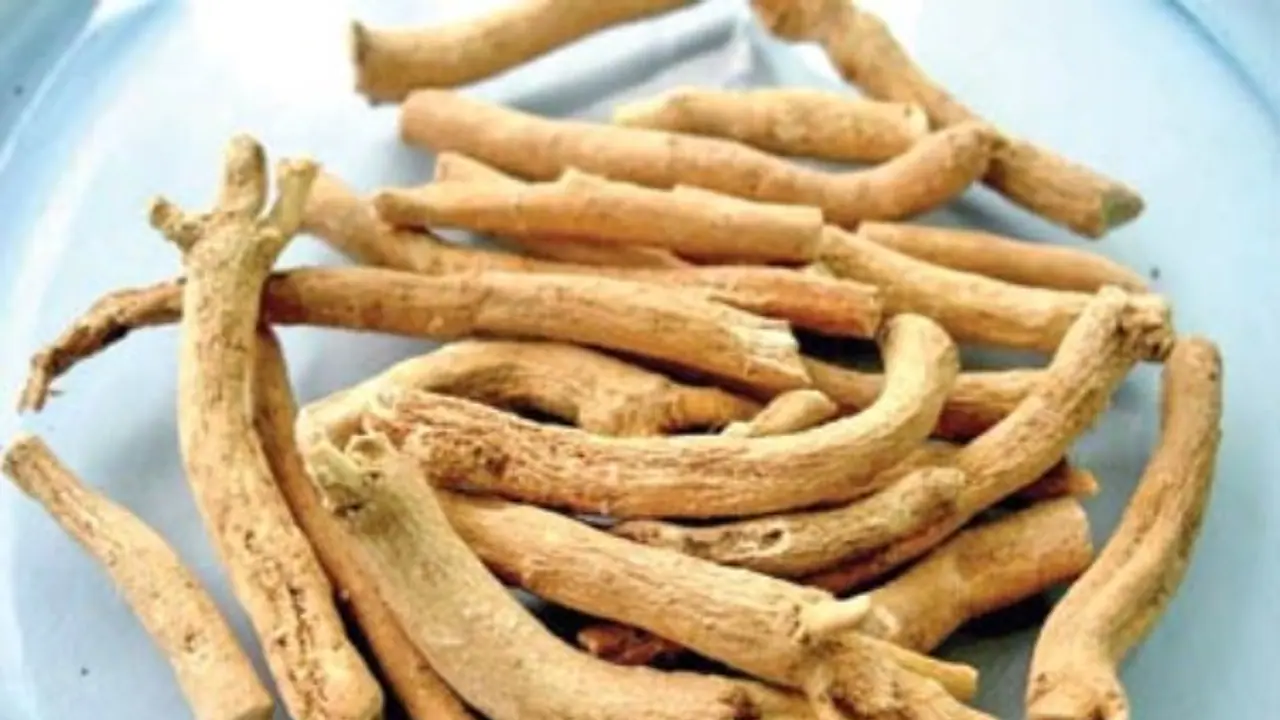 உங்களுக்குத் தெரியுமா? ஆறாத புண்களையும் ஆற்றும் சக்தி கொண்டது அமுக்கரா மூலிகை... உங்களுக்குத் தெரியுமா? ஆறாத புண்களையும் ஆற்றும் சக்தி கொண்டது அமுக்கரா மூலிகை...