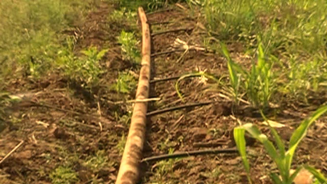 Koppal| ಸಿಂಗಟಾಲೂರು ಹನಿ ನೀರಾವರಿ ಕೈಬಿಟ್ಟ ಸರ್ಕಾರ? Koppal| ಸಿಂಗಟಾಲೂರು ಹನಿ ನೀರಾವರಿ ಕೈಬಿಟ್ಟ ಸರ್ಕಾರ?