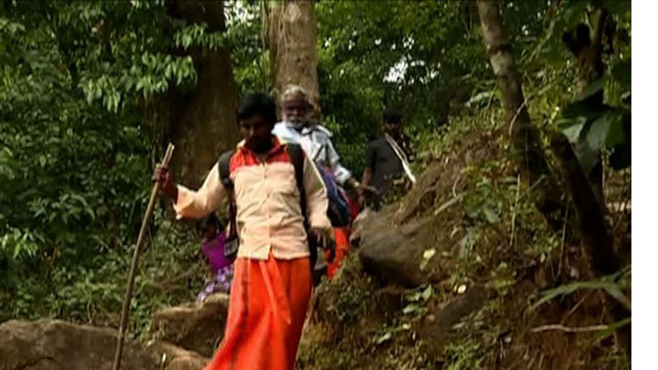 'രാത്രിയാകുമ്പോൾ ദിശ തെറ്റുന്നു, അവശരാകുന്നു' സത്രം പുല്ലുമേട് വഴി തീർത്ഥാടകരെ കടത്തിവിടുന്ന സമയക്രമം മാറ്റി