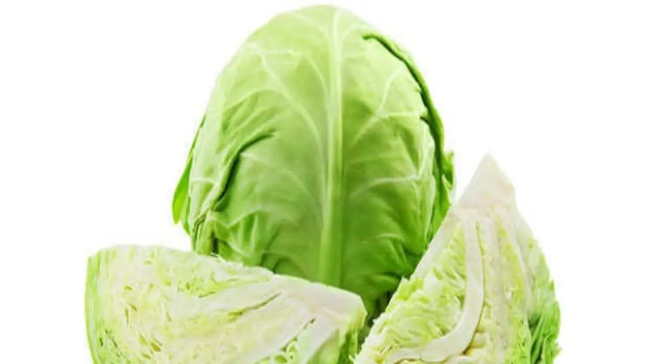 நீங்கள் அறிந்திராத முட்டைகோஸின் அற்புத மருத்துவ குணங்கள்... நீங்கள் அறிந்திராத முட்டைகோஸின் அற்புத மருத்துவ குணங்கள்...