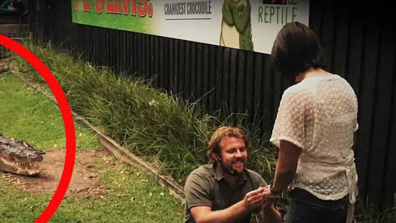 ഇതുപോലൊരു വിവാഹാഭ്യര്ത്ഥന സ്വപ്നങ്ങളില് മാത്രം! ഇതുപോലൊരു വിവാഹാഭ്യര്ത്ഥന സ്വപ്നങ്ങളില് മാത്രം!