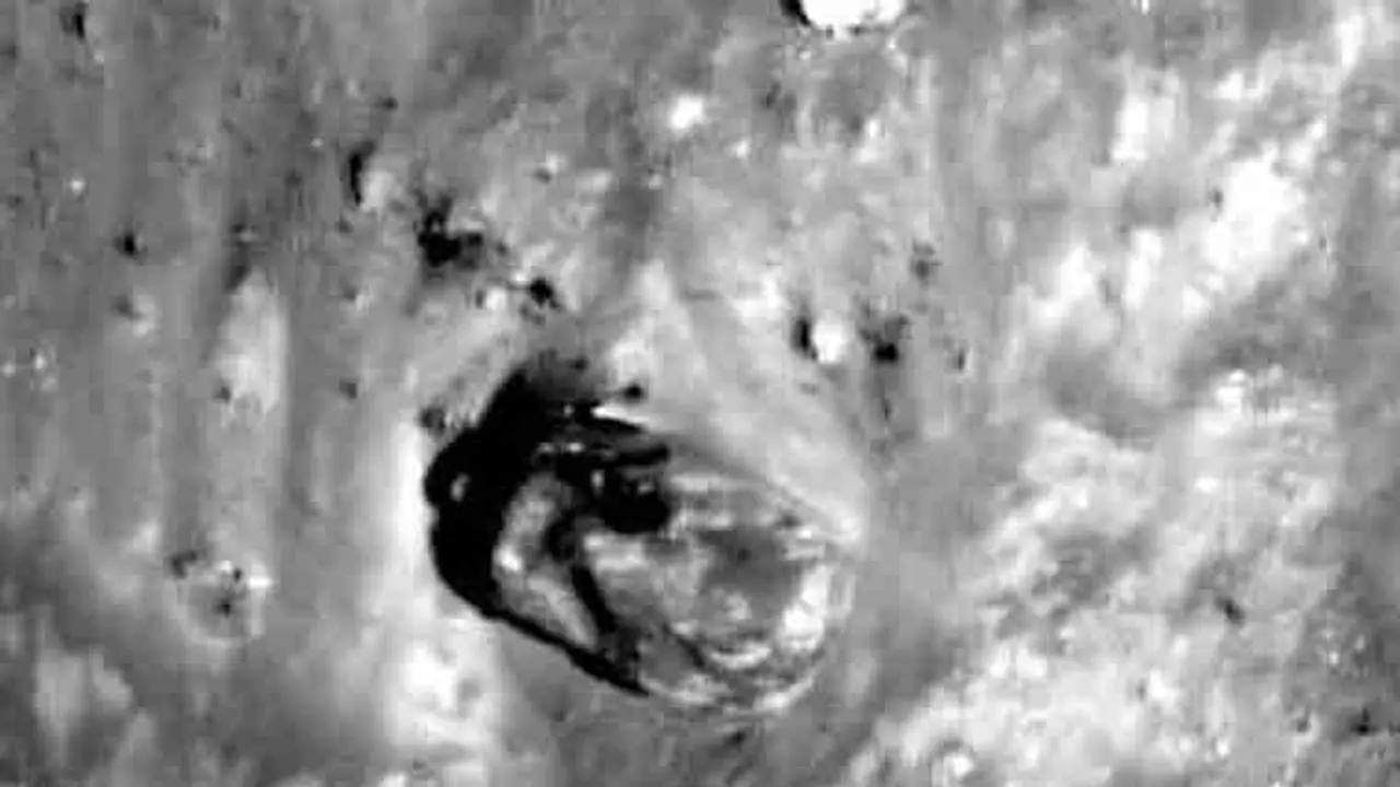 അന്യഗ്രഹജീവികള് നിങ്ങളുടെ നാട്ടിലുണ്ടോ? ഇങ്ങനെ അറിയാം.! അന്യഗ്രഹജീവികള് നിങ്ങളുടെ നാട്ടിലുണ്ടോ? ഇങ്ങനെ അറിയാം.!