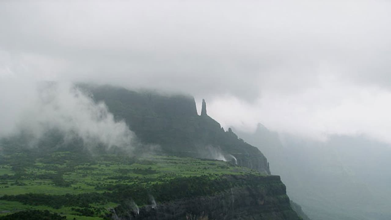 Declaring Western Ghats as eco sensitive not good enough for conservation: Karnataka forest minister Shankar