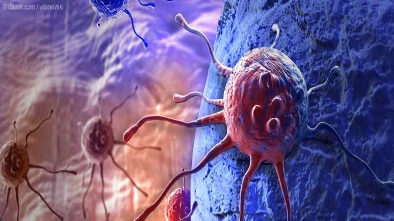 கொடூரமான கேன்சர் நோயை ஒரே நாளில் குணமாக்கும் பழம் கண்டுபிடிப்பு...! ஆச்சர்யத்தில் விஞ்ஞானிகள்...! கொடூரமான கேன்சர் நோயை ஒரே நாளில் குணமாக்கும் பழம் கண்டுபிடிப்பு...! ஆச்சர்யத்தில் விஞ்ஞானிகள்...!