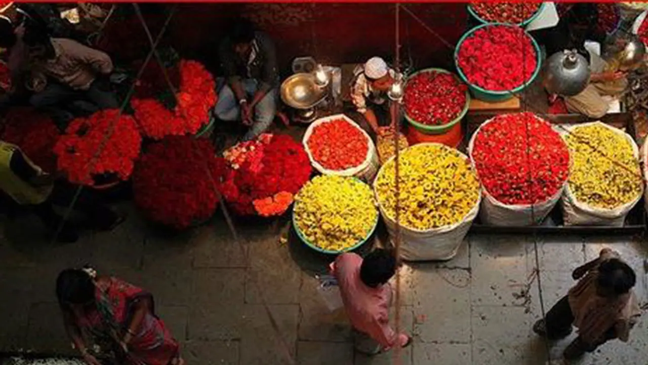 Kanakambara flower price shoots up to Rs 2000 per kg Kanakambara flower price shoots up to Rs 2000 per kg