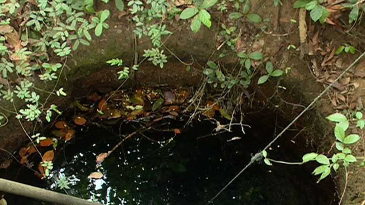 ಕರಾವಳಿಯ ಕೆಳಪರ್ಕಳದಲ್ಲಿ ಜಲ ವಿಸ್ಮಯ!: ಹಳ್ಳ ಕೊಳ್ಳಗಳಲ್ಲಿ ಉಕ್ಕಿ ಹರಿಯುತ್ತಿದೆ ನೀರು ಕರಾವಳಿಯ ಕೆಳಪರ್ಕಳದಲ್ಲಿ ಜಲ ವಿಸ್ಮಯ!: ಹಳ್ಳ ಕೊಳ್ಳಗಳಲ್ಲಿ ಉಕ್ಕಿ ಹರಿಯುತ್ತಿದೆ ನೀರು