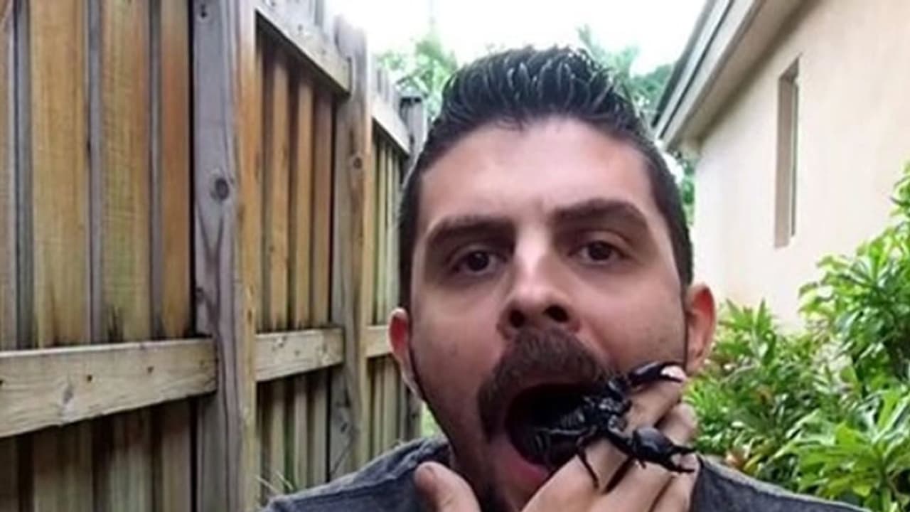 വായിൽ നിന്ന് ജീ​വ​നു​ള്ള തേ​ൾ ഇറ​ങ്ങിവ​രു​ന്നു വീഡിയോ