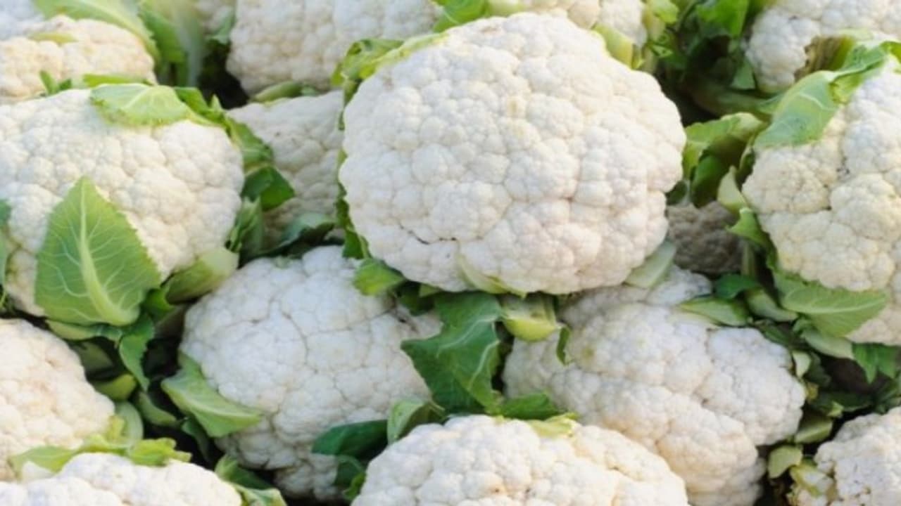 cauliflower 1 14518.jpg cauliflower 1 14518.jpg