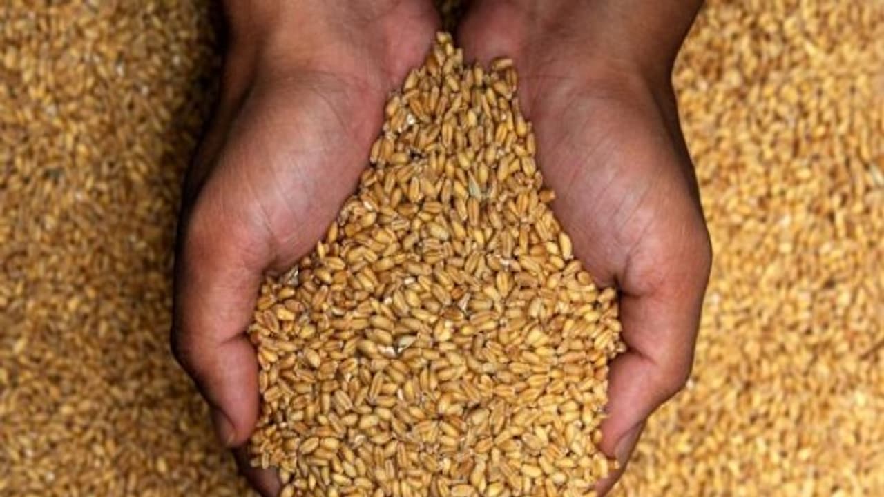 "2018 வரை கோதுமை, அரிசி மானிய விலையில் வழங்கப்படும்" மத்திய அரசு அடுத்த அறிவிப்பு! "2018 வரை கோதுமை, அரிசி மானிய விலையில் வழங்கப்படும்" மத்திய அரசு அடுத்த அறிவிப்பு!