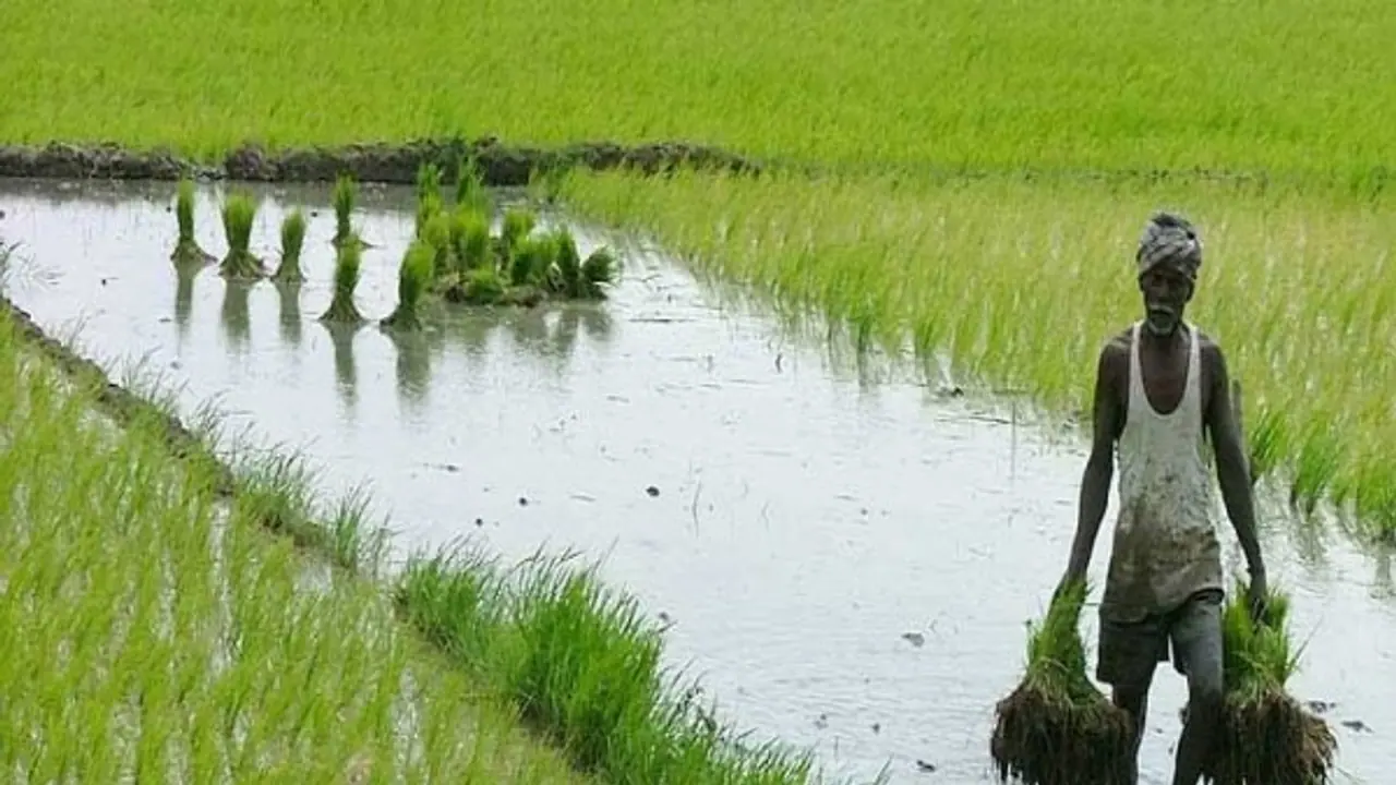 ಹಾಸನ: ತುಂಬಿ ಹರಿದ ಹೇಮೆ, ಕೃಷಿಕರಲ್ಲಿ ಉತ್ಸಾಹ ಹಾಸನ: ತುಂಬಿ ಹರಿದ ಹೇಮೆ, ಕೃಷಿಕರಲ್ಲಿ ಉತ್ಸಾಹ