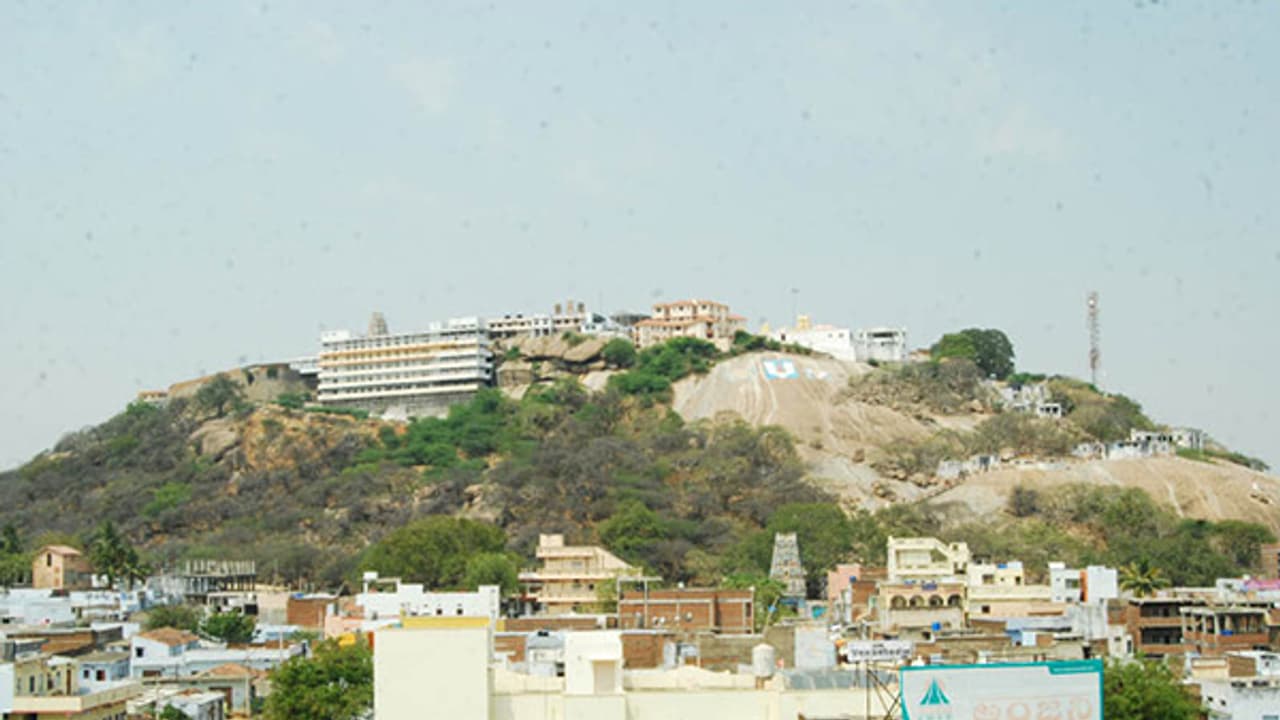 ನಗರ ಸ್ಥಳೀಯ ಚುನಾವಣಾ ಫಲಿತಾಂಶ: ಯಾದಗಿರಿಯಲ್ಲಿ ಅರಳಿದ ಕಮಲ ನಗರ ಸ್ಥಳೀಯ ಚುನಾವಣಾ ಫಲಿತಾಂಶ: ಯಾದಗಿರಿಯಲ್ಲಿ ಅರಳಿದ ಕಮಲ