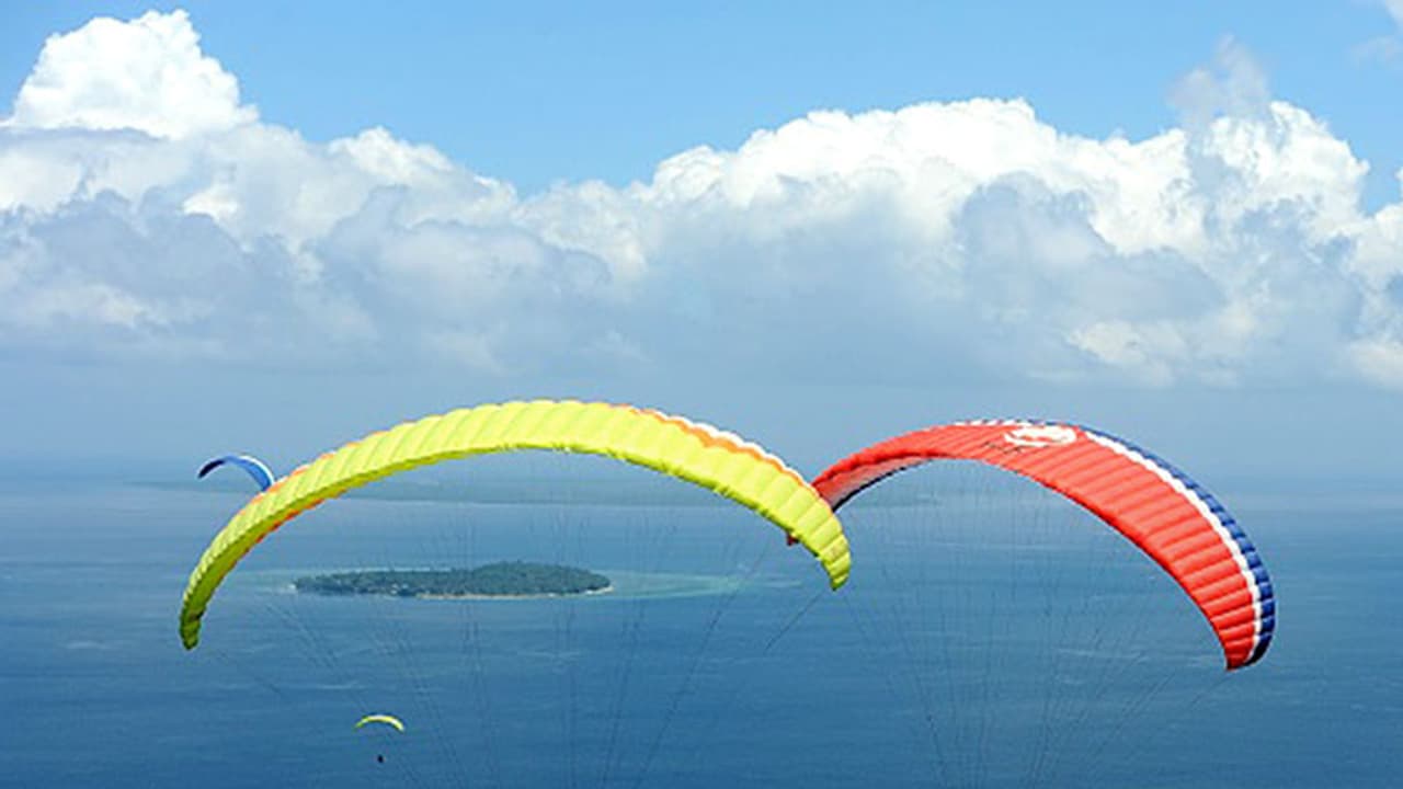 పారాగ్లైడింగ్ లో విషాదం.. గుజరాత్లో దక్షిణకొరియా వాసి దుర్మరణం పారాగ్లైడింగ్ లో విషాదం.. గుజరాత్లో దక్షిణకొరియా వాసి దుర్మరణం