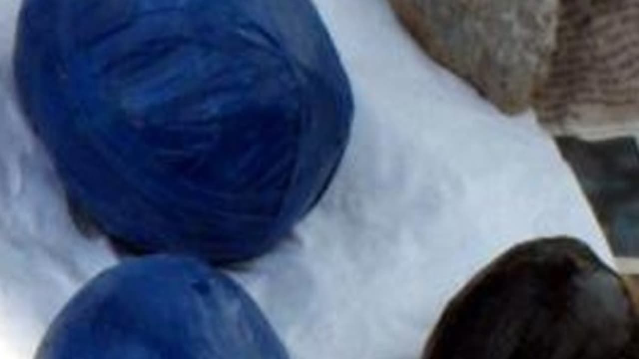 திருப்போரூர் அருகே மர்ம பொருள் வெடித்து கூலித்தொழிலாளி பரிதாபமாக உயிரிழப்பு