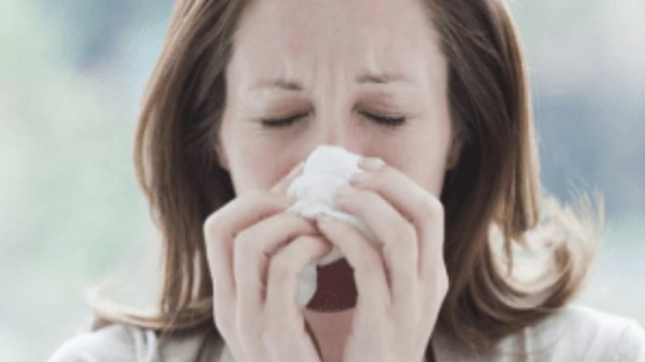 உங்களுக்குத் தெரியுமா? வீட்டு வைத்தியத்தில் சளியை அரை மணி நேரத்தில் விரட்டலாம்... உங்களுக்குத் தெரியுமா? வீட்டு வைத்தியத்தில் சளியை அரை மணி நேரத்தில் விரட்டலாம்...