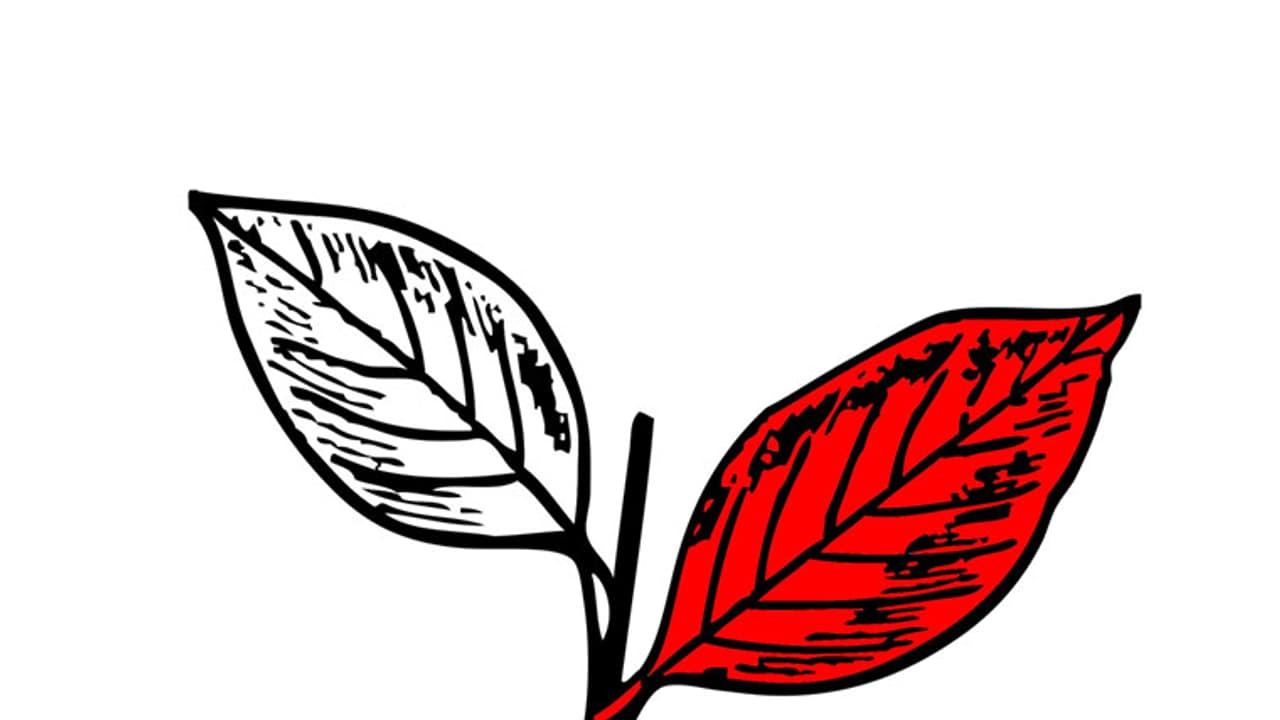 കോണ്ഗ്രസിനെതിരെ കേരളാ കോണ്ഗ്രസ് സിപിഎം കൂട്ടുകെട്ട് കണ്ണൂരിലും കോണ്ഗ്രസിനെതിരെ കേരളാ കോണ്ഗ്രസ് സിപിഎം കൂട്ടുകെട്ട് കണ്ണൂരിലും