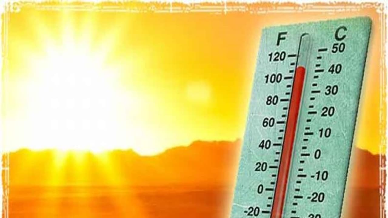 திருப்பூரில் 102 டிகிரி வெயில்! அடித்து வெளுக்கும் வெயிலால் மக்கள் கடும் அவதி... திருப்பூரில் 102 டிகிரி வெயில்! அடித்து வெளுக்கும் வெயிலால் மக்கள் கடும் அவதி...