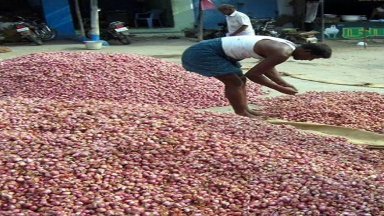 சின்ன வெங்காயத்தை இயற்கை முறையில் எப்படி விளைவிக்கலாம்… சின்ன வெங்காயத்தை இயற்கை முறையில் எப்படி விளைவிக்கலாம்…