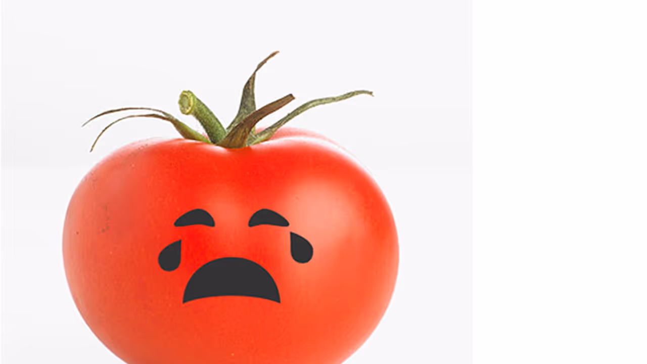 This is how women in Karnataka are coping with costlier tomatoes This is how women in Karnataka are coping with costlier tomatoes