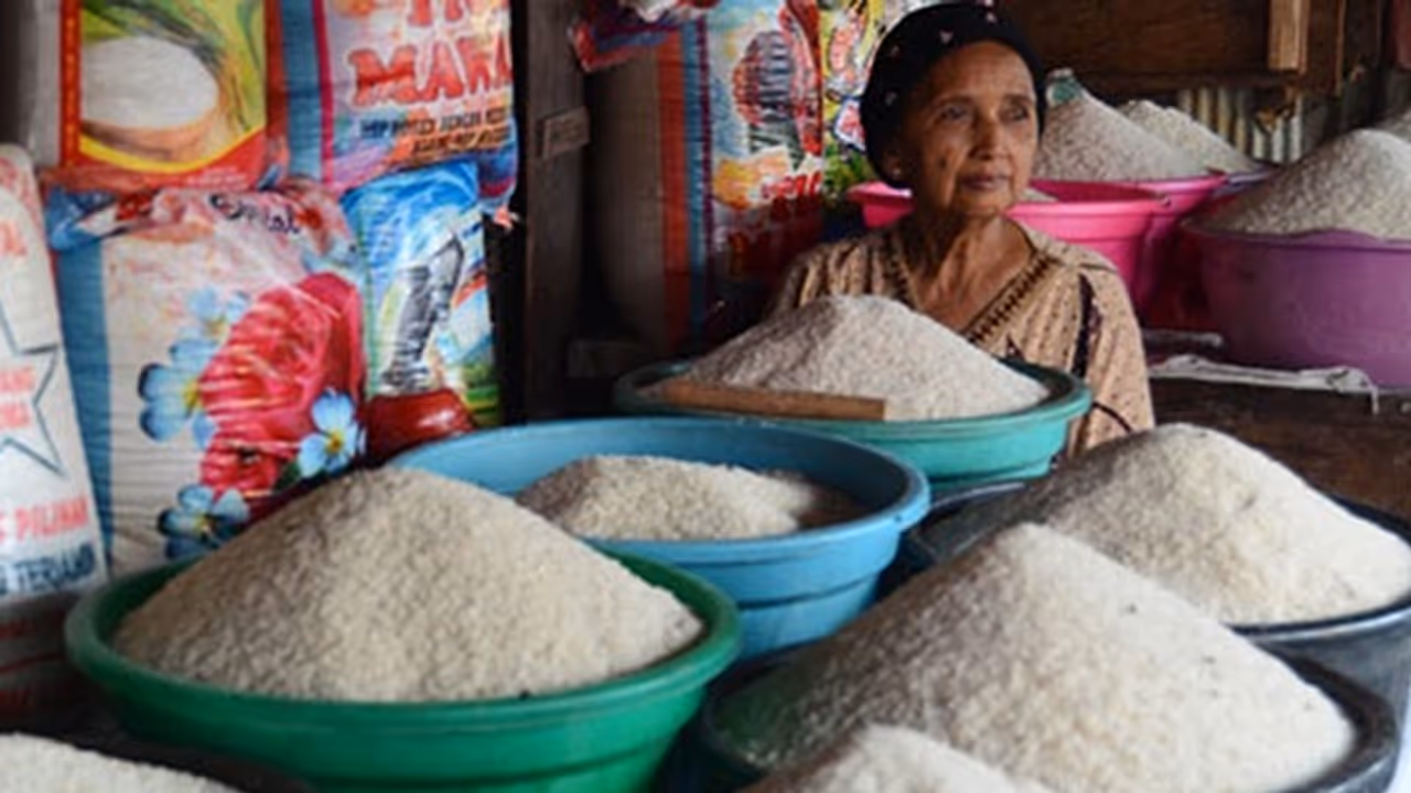 Free sarees, cycles, dhotis has caused Tamil Nadu a Rs 2.56 lakh crore deficit