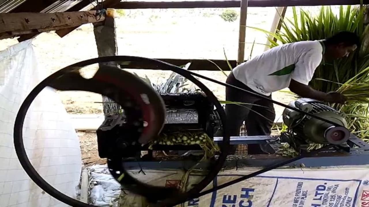 கால்நடைகளுக்கு தீவனத்தை நறுக்கி கொடுக்கும் “தீவன நறுக்கி” நேரக்குறைவு, செலவும் குறைவு… கால்நடைகளுக்கு தீவனத்தை நறுக்கி கொடுக்கும் “தீவன நறுக்கி” நேரக்குறைவு, செலவும் குறைவு…