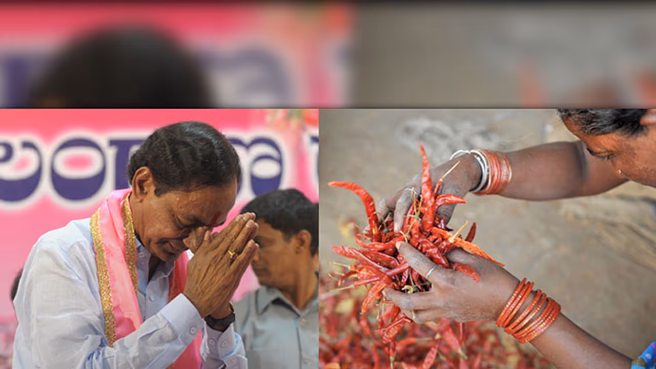 Telangana hit by drought but KCR wants film, songs praising government Telangana hit by drought but KCR wants film, songs praising government