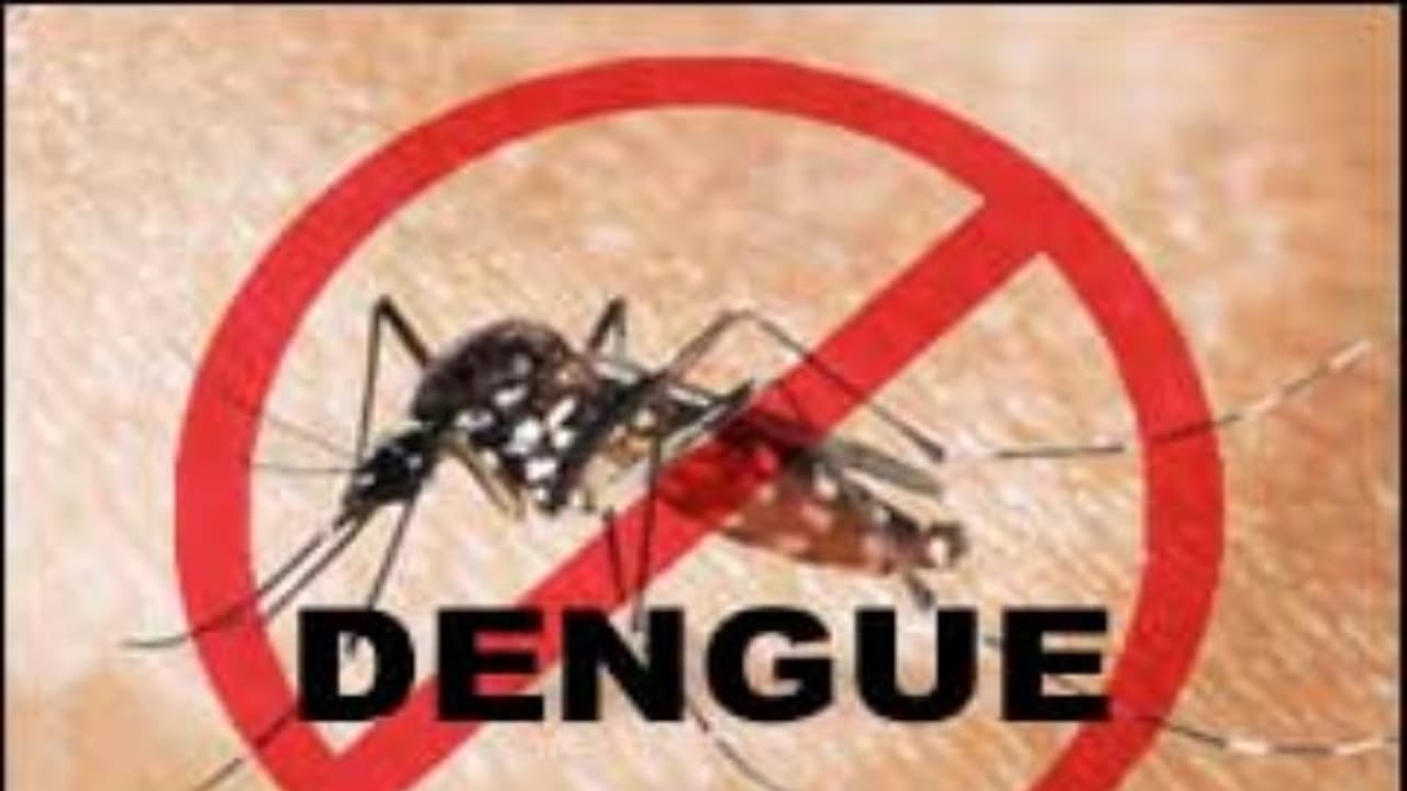 கன்னியாகுமரியில் 204 பேர் டெங்குவால் பாதிக்கப்பட்டு உள்ளனர் மாவட்ட கண்காணிப்பு அலுவலர் அறிவிப்பு… கன்னியாகுமரியில் 204 பேர் டெங்குவால் பாதிக்கப்பட்டு உள்ளனர் மாவட்ட கண்காணிப்பு அலுவலர் அறிவிப்பு…