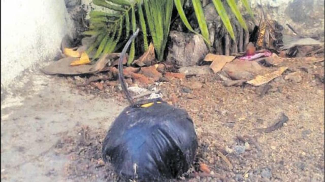 ஓபிஎஸ் வீடு அருகே போலி வெடிகுண்டு வீச்சு… மர்ம நபரை பிடிக்க போலீஸ் வலை ஓபிஎஸ் வீடு அருகே போலி வெடிகுண்டு வீச்சு… மர்ம நபரை பிடிக்க போலீஸ் வலை