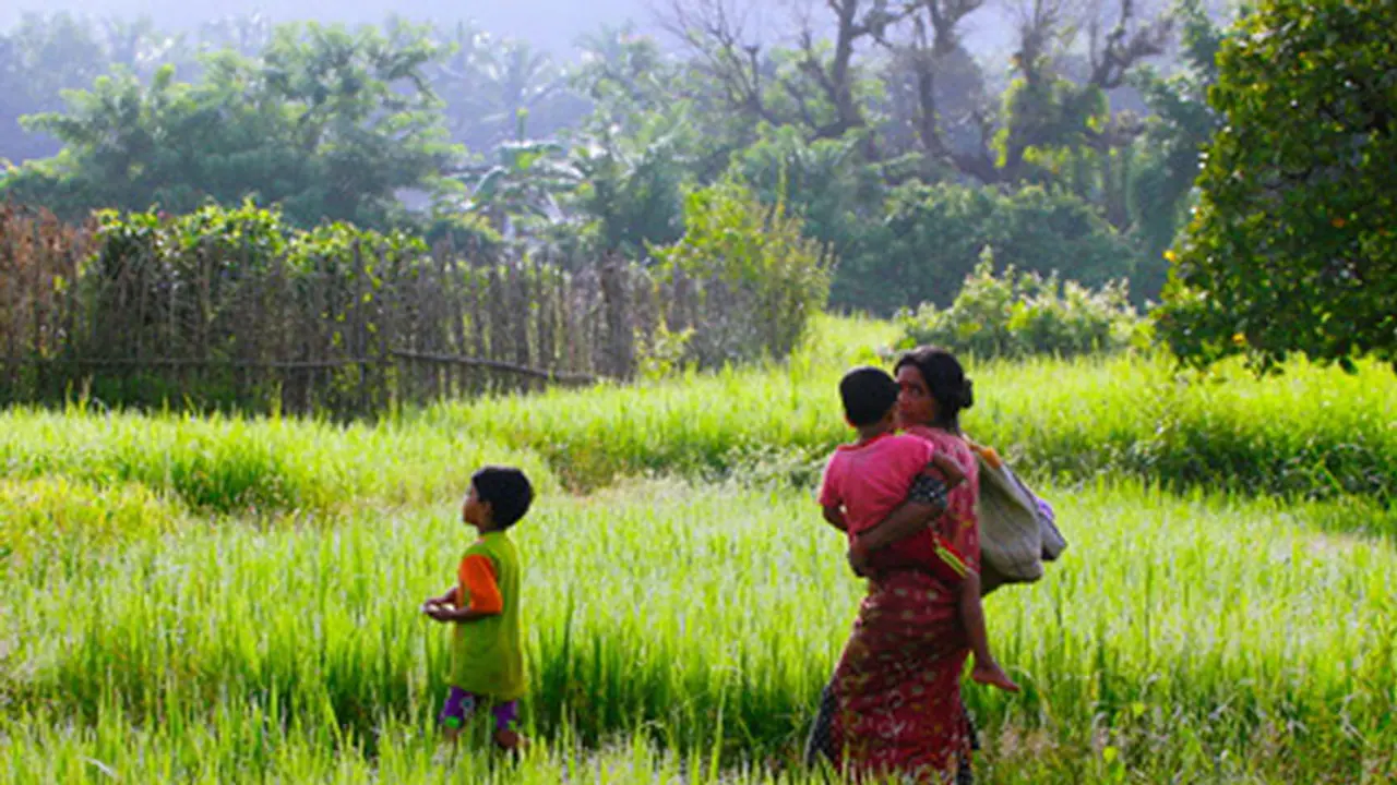 Woman eats out of dustbins, drinks drain water to earn Rs 2000 to free her ‘mortgaged’ son Woman eats out of dustbins, drinks drain water to earn Rs 2000 to free her ‘mortgaged’ son