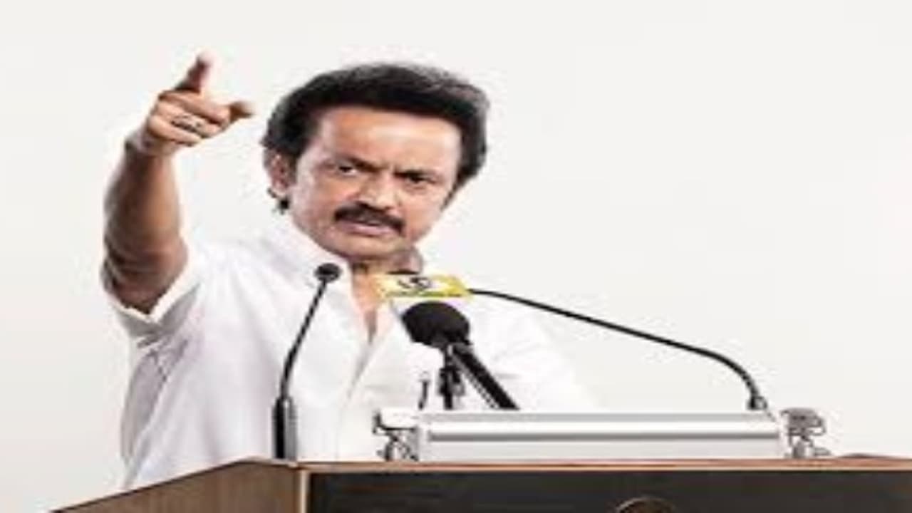 ஜெயலலிதாவிற்கு காட்டும் நன்றிக்கடன் இதுதானா? ஓ.பி.எஸ் அணிக்கு ஸ்டாலின் கண்டனம் ஜெயலலிதாவிற்கு காட்டும் நன்றிக்கடன் இதுதானா? ஓ.பி.எஸ் அணிக்கு ஸ்டாலின் கண்டனம்