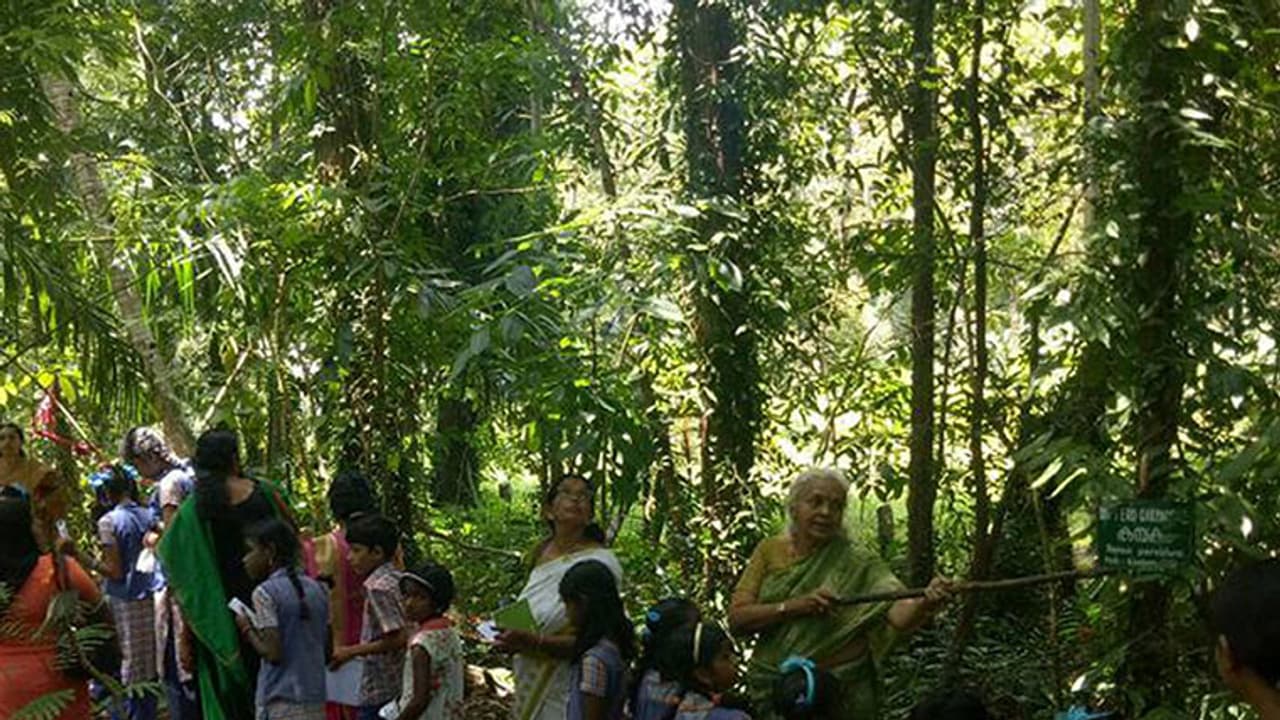 നാലര ഏക്കര് ഭൂമിയില് 'തപോവന'മൊരുക്കി ആലപ്പുഴയിലെ വനമുത്തശ്ശി നാലര ഏക്കര് ഭൂമിയില് 'തപോവന'മൊരുക്കി ആലപ്പുഴയിലെ വനമുത്തശ്ശി