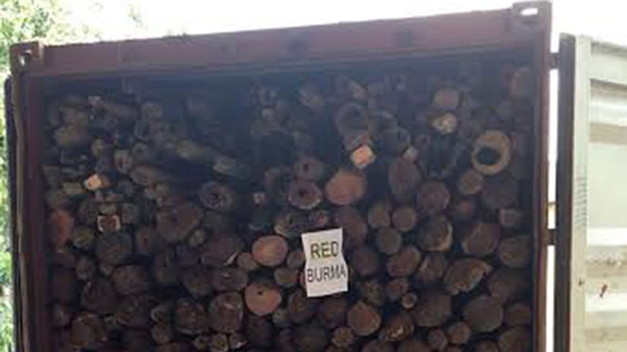 Year after bloody encounter, Andhra smugglers back in business Year after bloody encounter, Andhra smugglers back in business