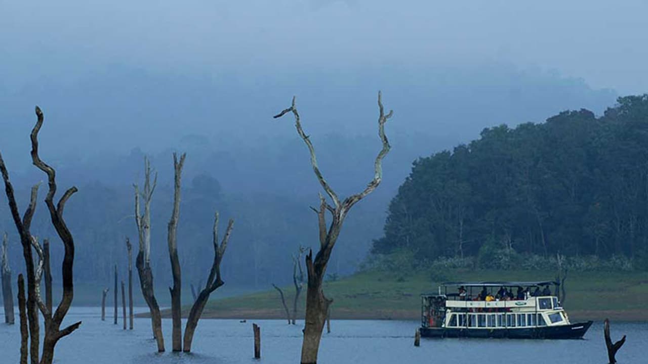 തേക്കടി ബോട്ട് സര്വ്വീസ് നിര്ത്തുന്നതിനെതിരെ പ്രതിഷേധം വ്യാപകം തേക്കടി ബോട്ട് സര്വ്വീസ് നിര്ത്തുന്നതിനെതിരെ പ്രതിഷേധം വ്യാപകം