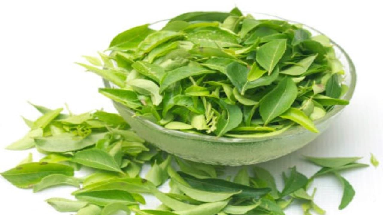 உங்களுக்குத் தெரியுமா? தலைச்சுற்றலை அடியோடு விரட்ட “கறிவேப்பிலை தைலம்” உதவும்… உங்களுக்குத் தெரியுமா? தலைச்சுற்றலை அடியோடு விரட்ட “கறிவேப்பிலை தைலம்” உதவும்…