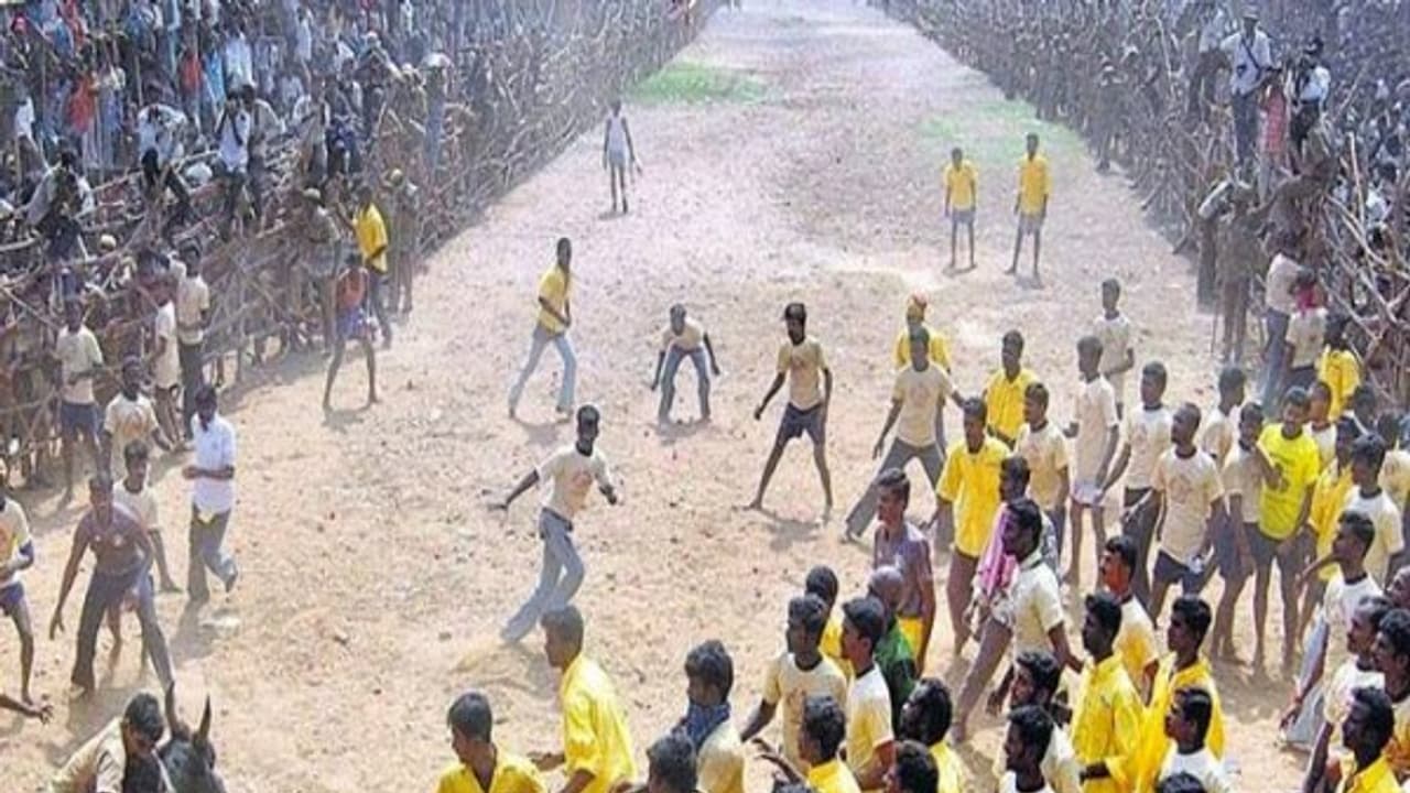 மாட்டடி அல்ல.. காட்டடி... பாலமேடு ஜல்லக்கட்டில் பந்தாடிய அமைச்சர் மூர்த்தியின் அடிப்பொடிகள்..! மாட்டடி அல்ல.. காட்டடி... பாலமேடு ஜல்லக்கட்டில் பந்தாடிய அமைச்சர் மூர்த்தியின் அடிப்பொடிகள்..!