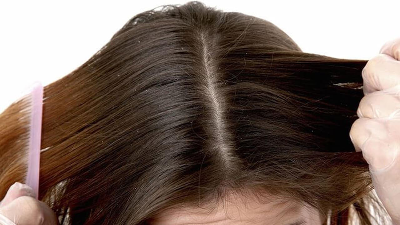 ತಾಯಿ ಕಳೆದುಕೊಂಡ ಬಾಲಕಿಗೆ ಜಡೆ ಹೆಣೆಯುವ ಶಾಲಾ ಬಸ್ ಚಾಲಕ ತಾಯಿ ಕಳೆದುಕೊಂಡ ಬಾಲಕಿಗೆ ಜಡೆ ಹೆಣೆಯುವ ಶಾಲಾ ಬಸ್ ಚಾಲಕ