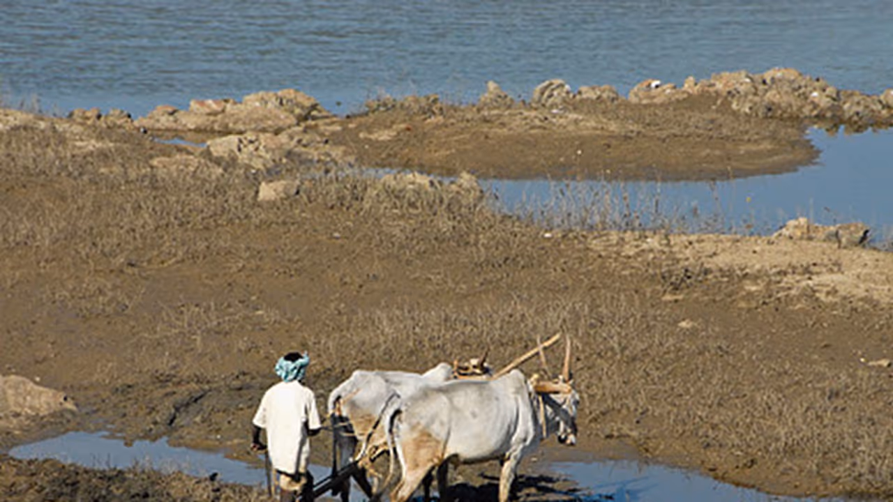 For Cauvery, both Tamil Nadu and Karnataka indulge in politics inappropriate For Cauvery, both Tamil Nadu and Karnataka indulge in politics inappropriate